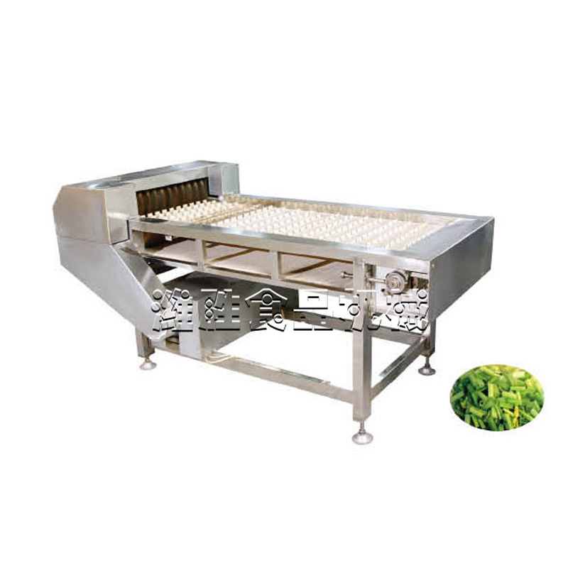 vegetable cutting machine type i