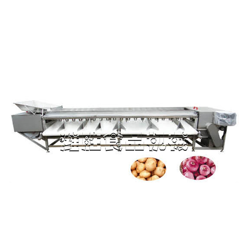 fruit and vegetable grading machine type ii