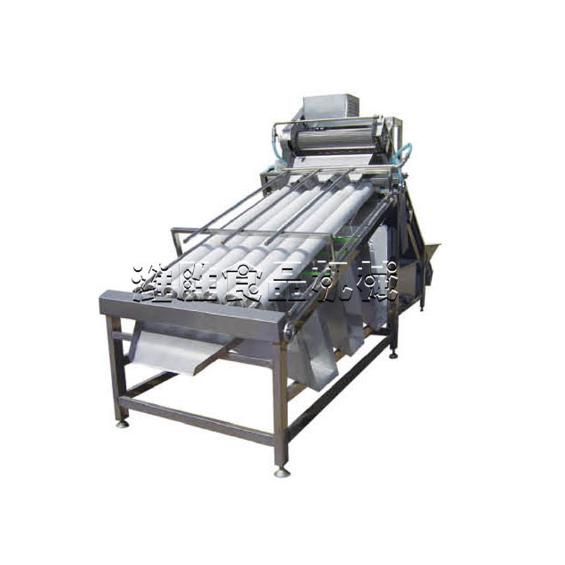 prawn grading machine