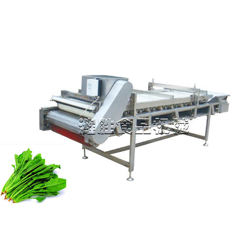 spinach water squeezing machine