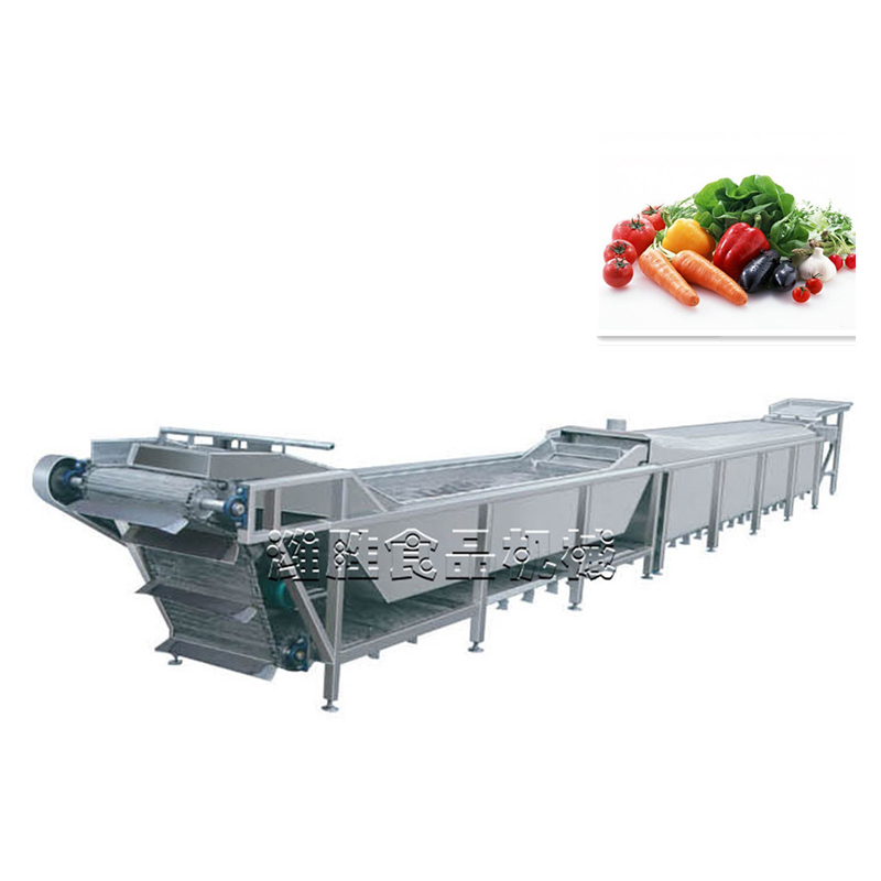 vegetable blanching and pre-cooling line - blanching and pre-cooling