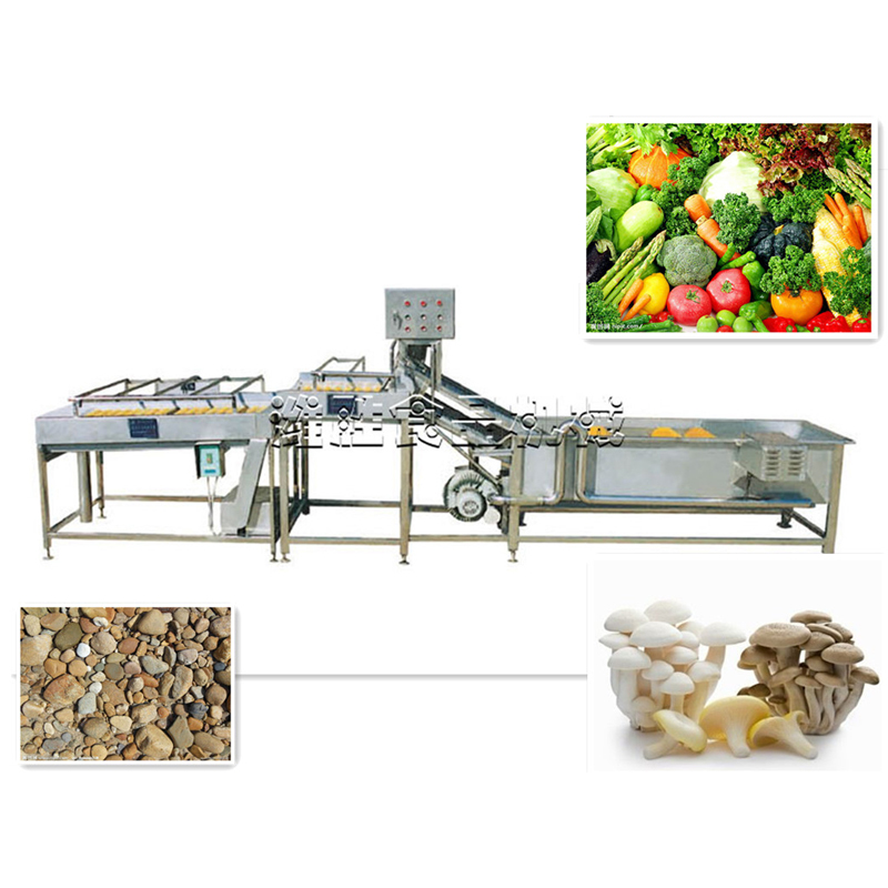 edible fungus and vegetable cleaning and decontamination production line