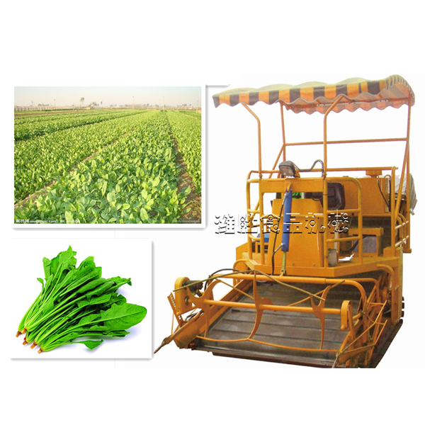 spinach harvester