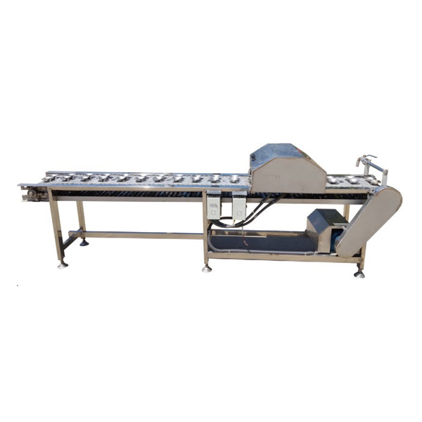 onion directional splitting machine